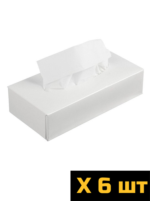 Салфетки косметические 2-слойные, 100 листов (упак. 6 шт.) 12-1394-6